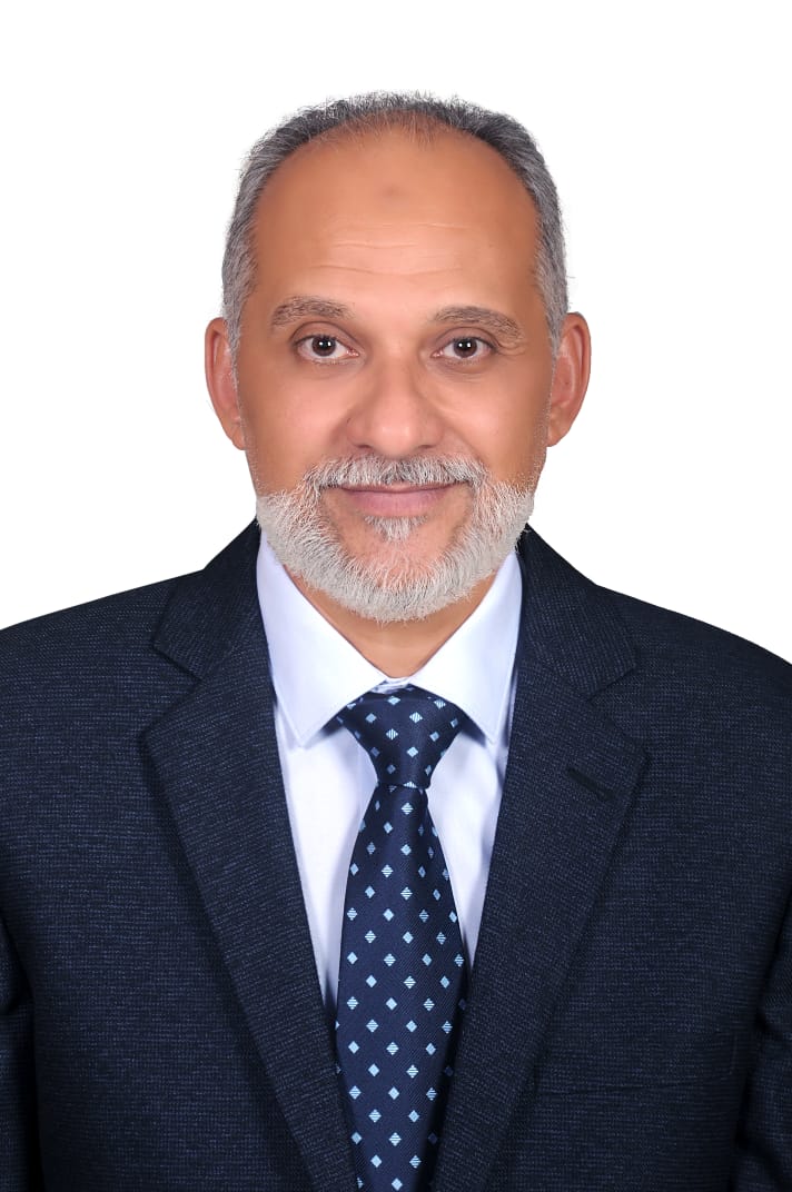Mr. Yehia El Bagoury - (CFO / Partner Mega Solar Egypt